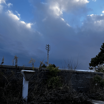 trash (feat. reyzed)のジャケット写真