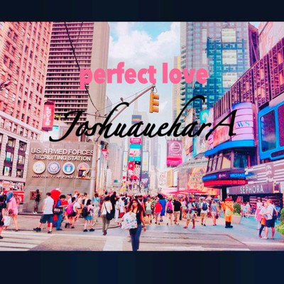 Perfect Loveのジャケット写真