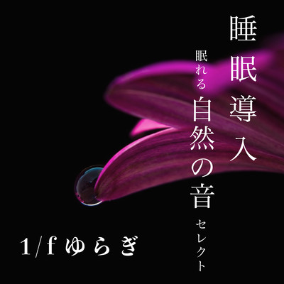 Sleep introduction 1/f fluctuation - Natural sounds for sleep - Front Cover