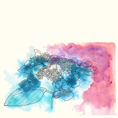 ajisai (fast) Front Cover