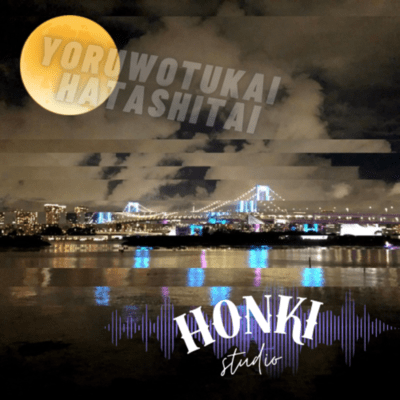 夜を使い果たし隊のジャケット写真