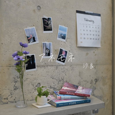 anemone Front Cover