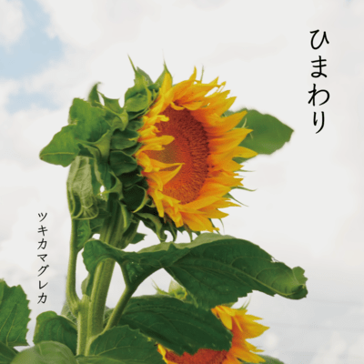 ひまわり (demo ver.)のジャケット写真