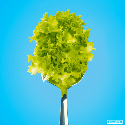 Lettuce Button (2022 Remastered 2025) Front Cover