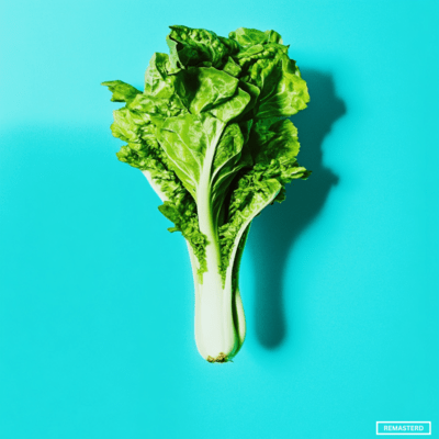 Lettuce Button Part2 (2025 Remastered) Front Cover