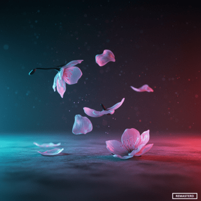 ハナビラの想い (2025 Remastered)のジャケット写真