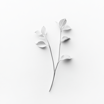 キミとツナグ未来 (2025 Remastered)のジャケット写真