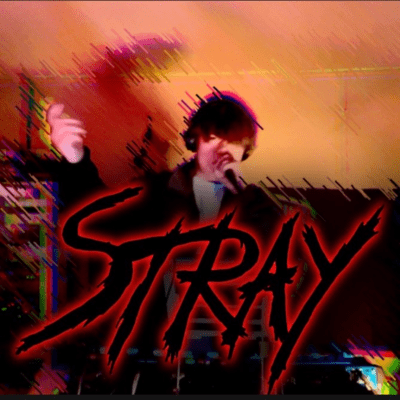 Stray Front Cover