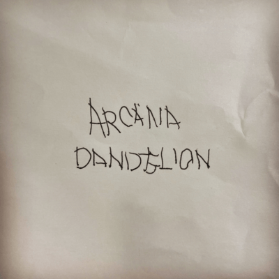 Real Adultのジャケット写真