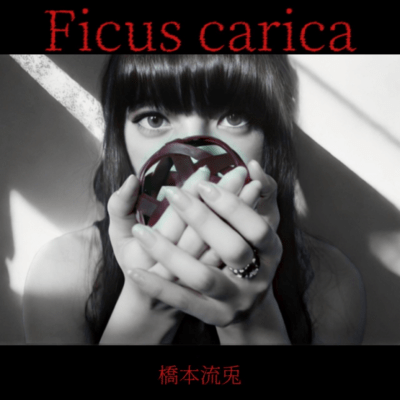 Ficus carica Front Cover
