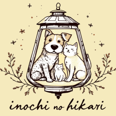 inochi no hikari Front Cover