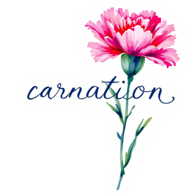 carnation Front Cover