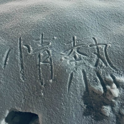 情熱のジャケット写真