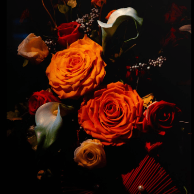 An ordinary loser Front Cover