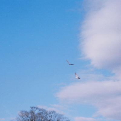 By Degreesのジャケット写真