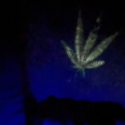 Fly Boy Life Front Cover