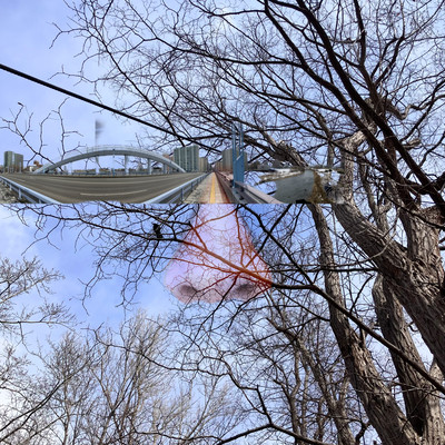 Ranking for death Front Cover