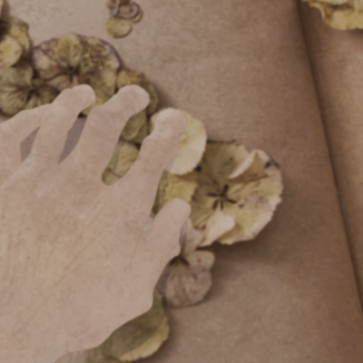 ありふれた話のジャケット写真