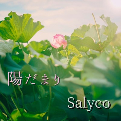 sunny spot Front Cover