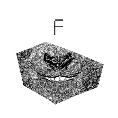 F Front Cover