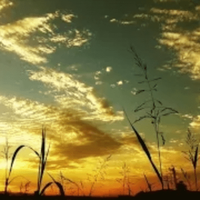 End of summer Front Cover