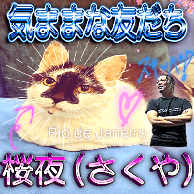 KIMAMA FRIEND Front Cover