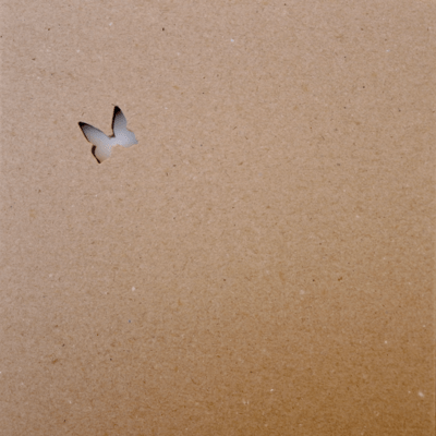 toranoco Front Cover