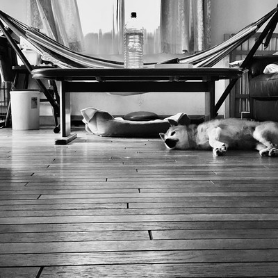 song and piano1 Front Cover