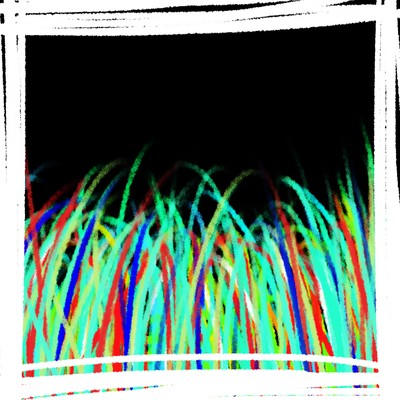 puripuri Front Cover