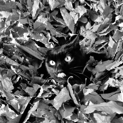 song and piano3 Front Cover