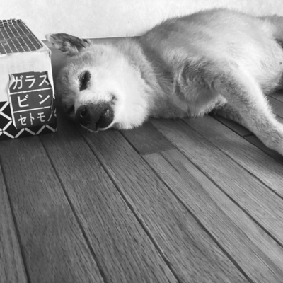 歌とピアノVol.1のジャケット写真