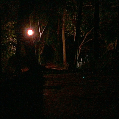 Yokohama Front Cover