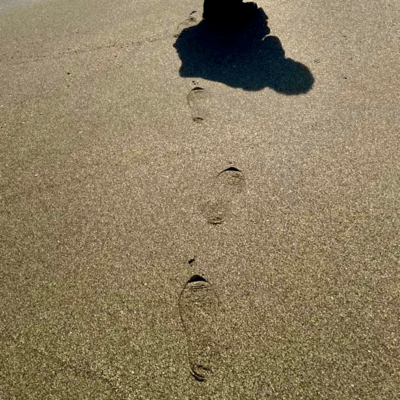 またね。のジャケット写真