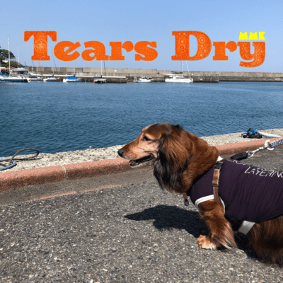 Tears Dry Front Cover