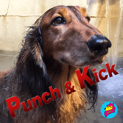 Punch & Kickのジャケット写真