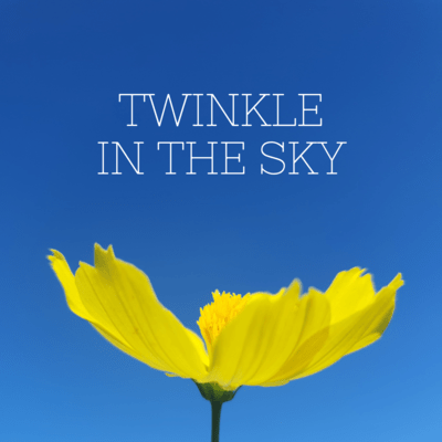 Twinkle in the Sky Front Cover