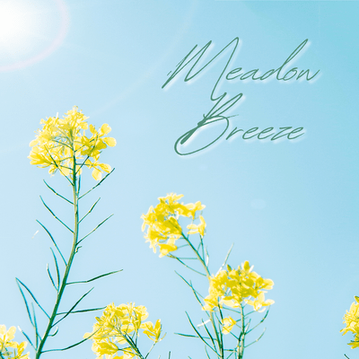 Meadow Breeze Front Cover