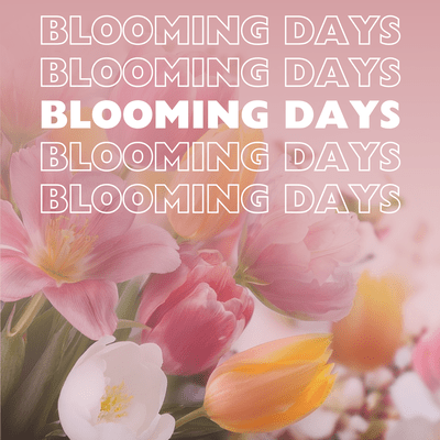 Blooming Days Front Cover