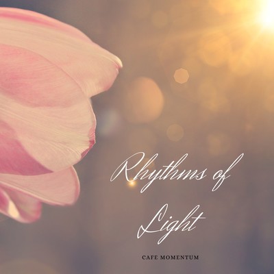Rhythms of Light Front Cover