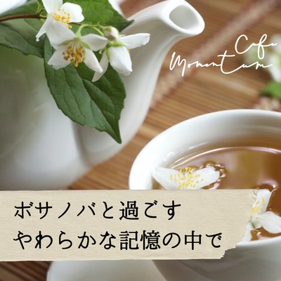 ボサノバと過ごす、やわらかな記憶の中でのジャケット写真