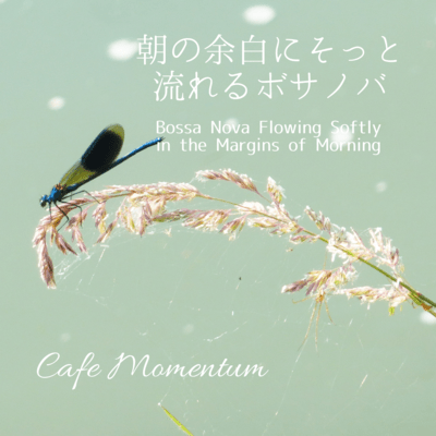 Bossa Nova Flowing Softly in the Margins of Morning Front Cover