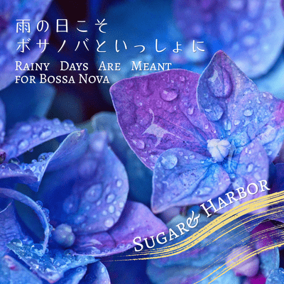 Rainy Days Are Meant for Bossa Nova Front Cover