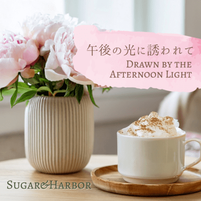 Drawn by the Afternoon Light Front Cover