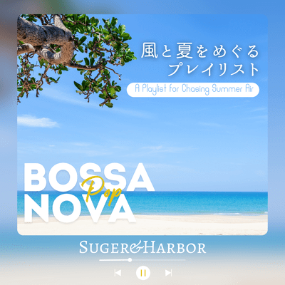 A Playlist for Chasing Summer Air Front Cover