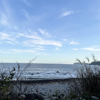 friendly Front Cover