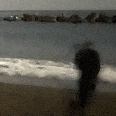 seaside Front Cover