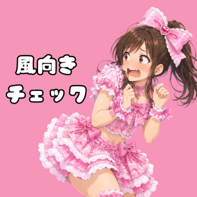 風向きチェックのジャケット写真