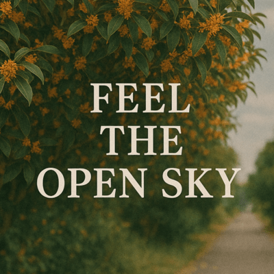 Feel the open skyのジャケット写真