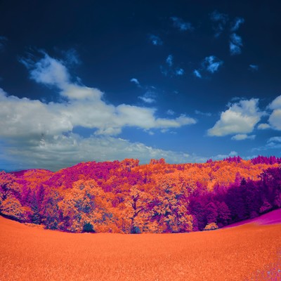 I'm Still Dreaming (feat. KASANE TETO) Front Cover