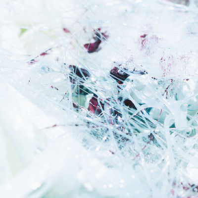 03:04 A.M. Front Cover